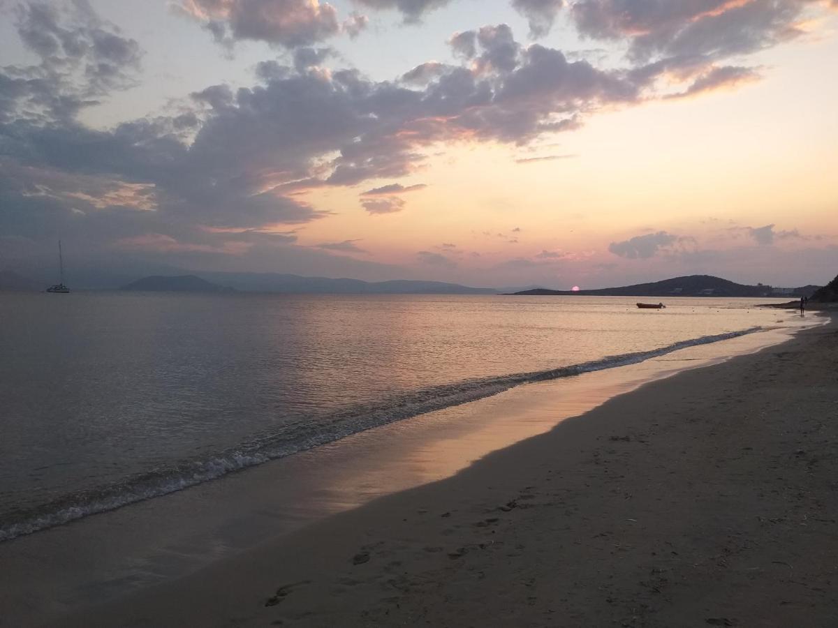 Villa Polemis Agia Anna  Dış mekan fotoğraf